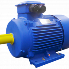 11/750 АМ 160 М8У2 исп 1081 эл.двигатель